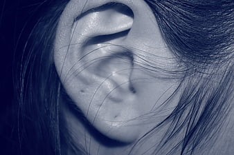 Close-up of a woman's ear with piercing and hair