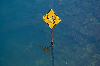 Submerged yellow dead end road sign in murky blue water