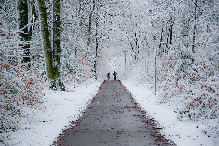 Cyclists on Snowy Forest Path in Winter