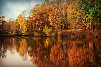 Autumn trees reflecting in a calm pond landscape
