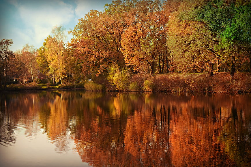 Autumn trees reflecting in a calm pond landscape
