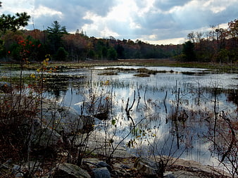 Autumn wetland landscape with cloudy sky reflection