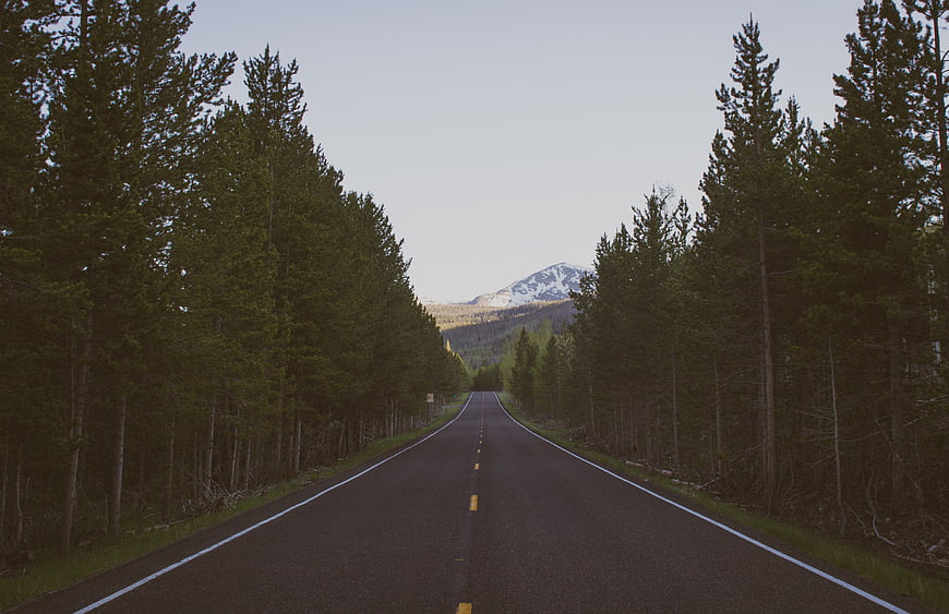 Empty Forest Road Leading to Snowy Mountain Peak