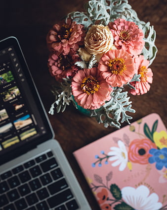 Pink Zinnia Flowers on Wooden Desk with Laptop and Notebook