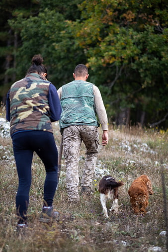 Couple hiking with dogs in autumn forest