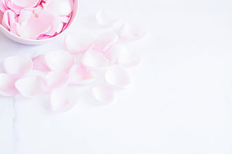Pink Rose Petals in White Bowl on Marble Background