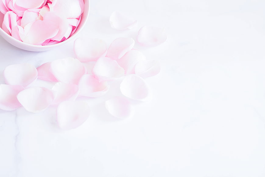 Pink Rose Petals in White Bowl on Marble Background