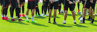 Soccer Team Legs and Cleats on Green Grass Field