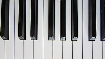 Close-up of Piano Keys with Black and White Contrast