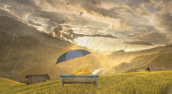 Teddy Bear with Umbrella on Bench in Rainy Mountain Landscape