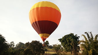 Colorful Hot Air Balloon Flying Over Green Trees