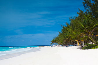 Tropical Caribbean Beach With White Sand, Turquoise Water, And Palm Trees