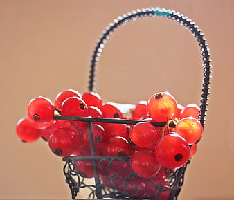 Fresh Red Currants in Vintage Wire Basket