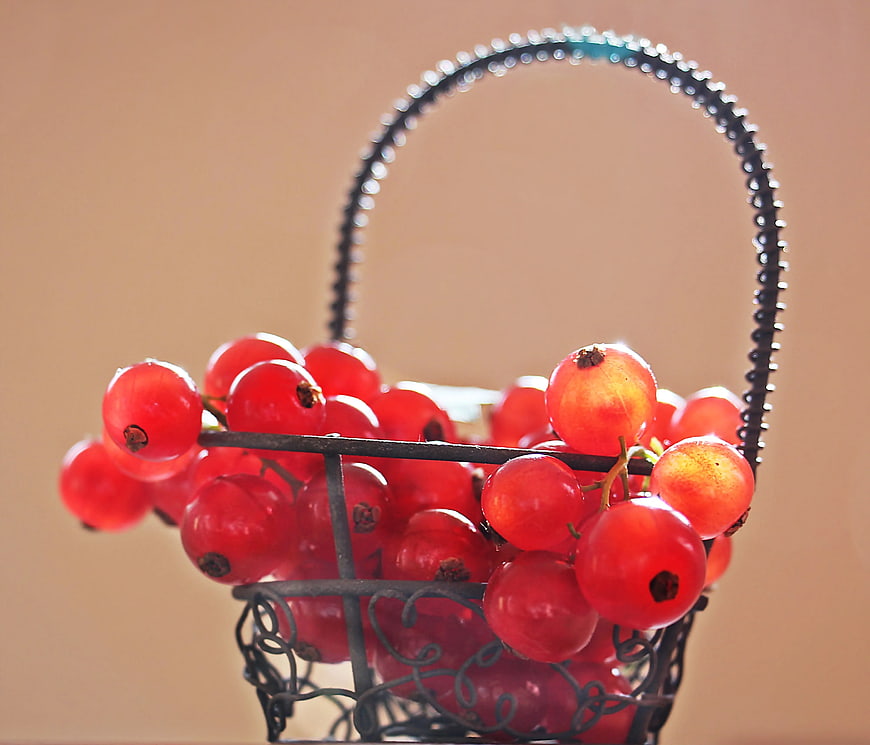 Fresh Red Currants in Vintage Wire Basket