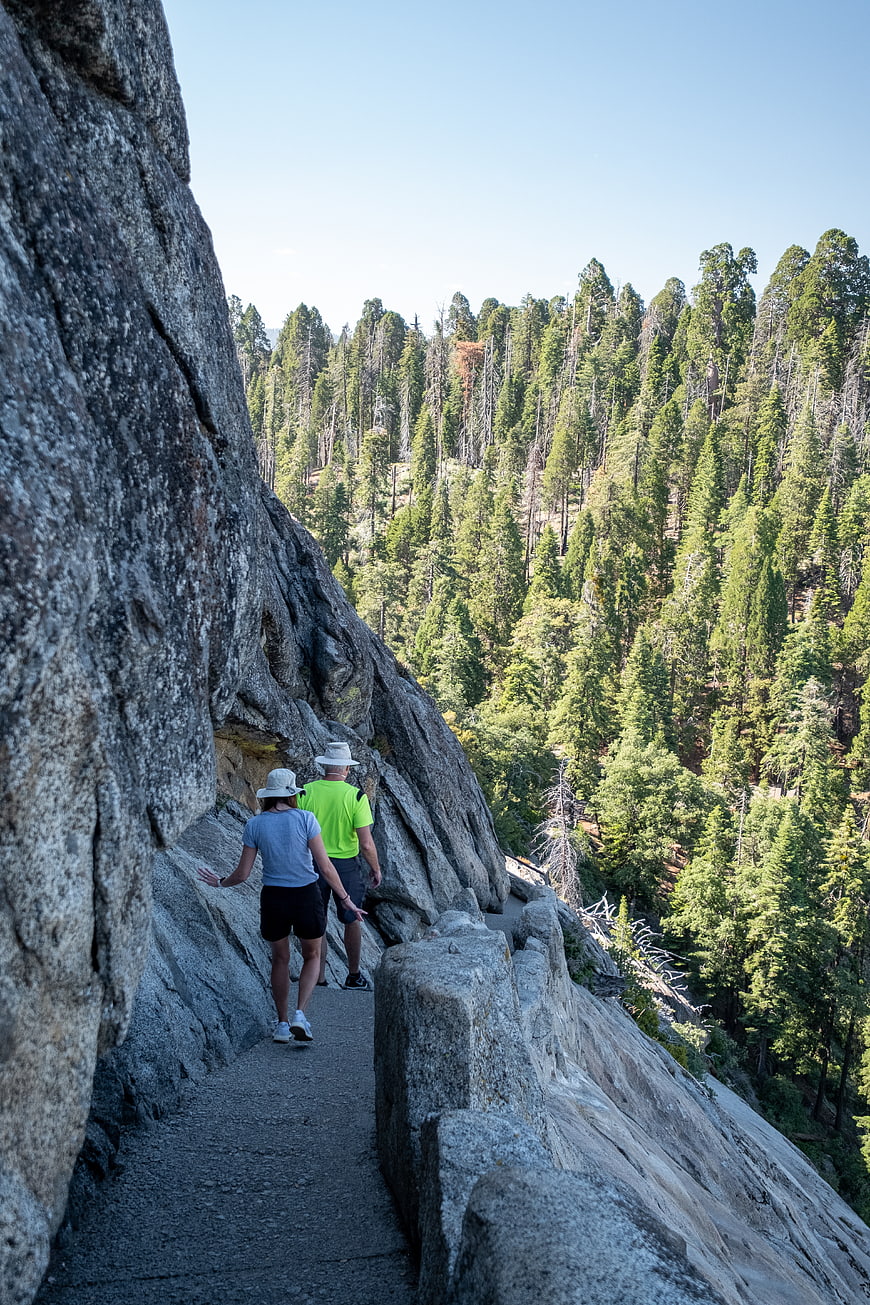 Hikers walking on mountain trail with forest view