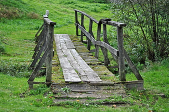 Old wooden bridge in green grassy nature landscape