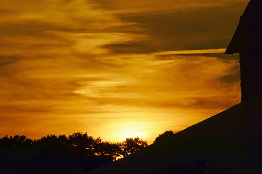 Golden sunset sky with silhouetted rooftops and trees