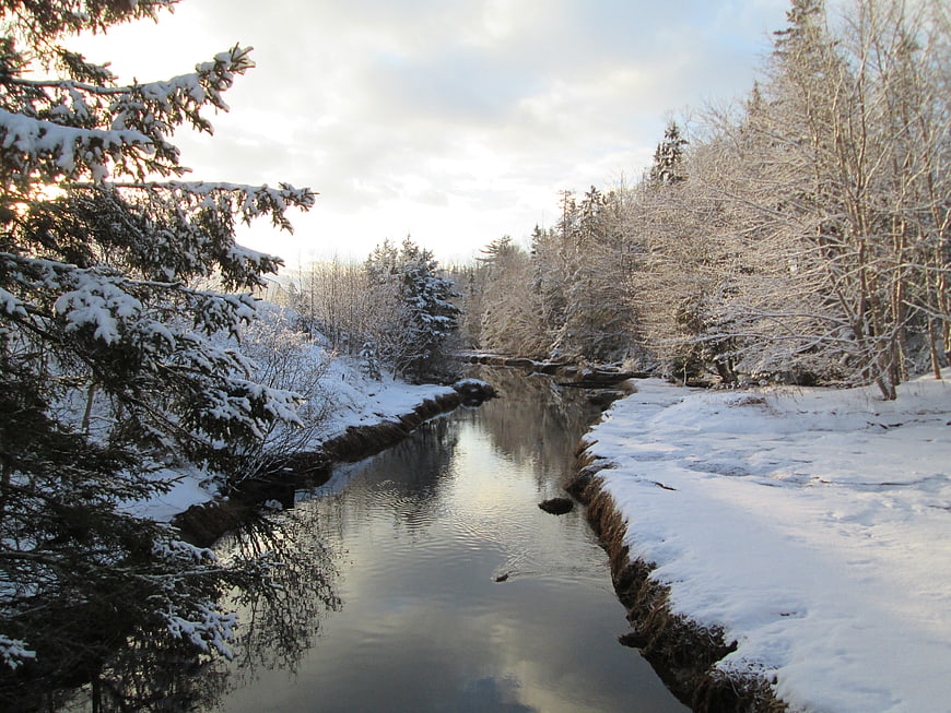 Serene Winter Stream Flowing Through Snowy Forest