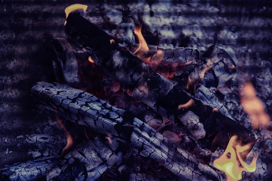 Close-up of burning logs and glowing embers in a campfire