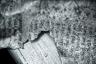 Close-up of torn vintage newspaper on weathered wood