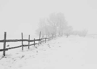 Snowy winter landscape with rustic wooden fence and foggy trees