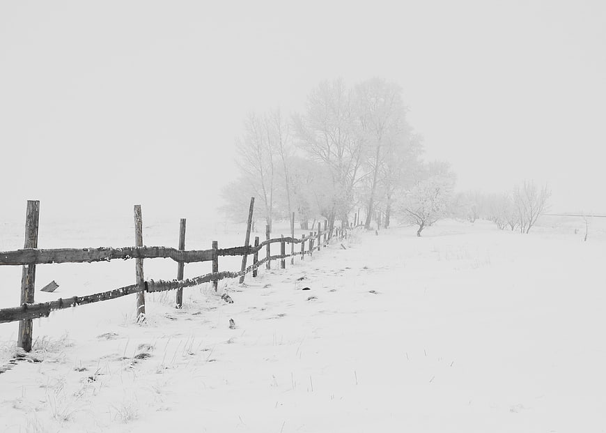 Snowy winter landscape with rustic wooden fence and foggy trees