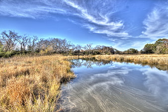 Serene Creek with Golden Grasses and Blue Sky Reflection