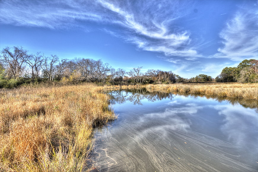 Serene Creek with Golden Grasses and Blue Sky Reflection