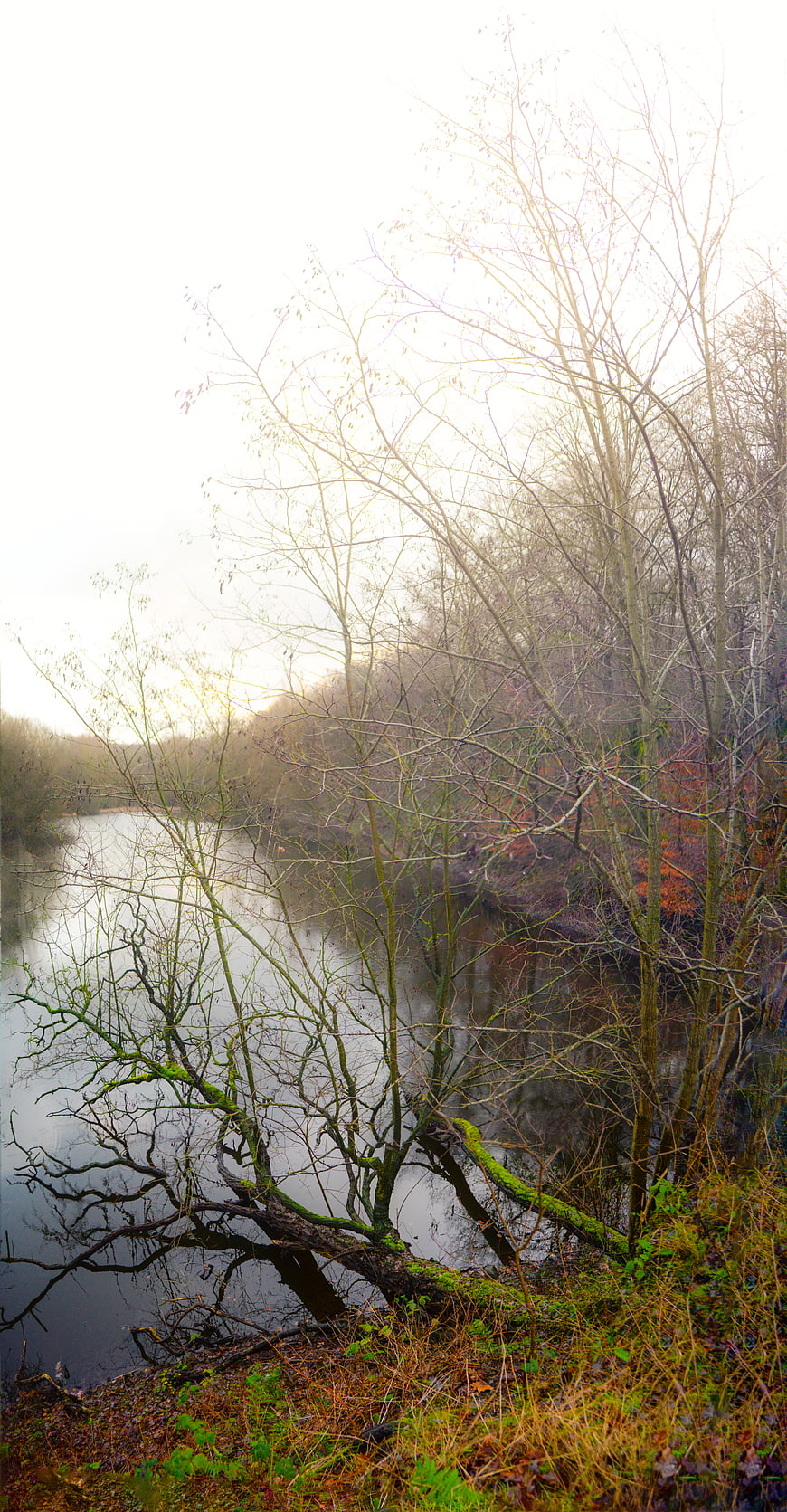 Misty River Landscape with Bare Trees in Autumn