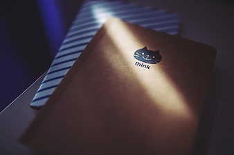 ThinkPad laptop with cat logo and striped tie