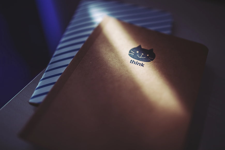 ThinkPad laptop with cat logo and striped tie