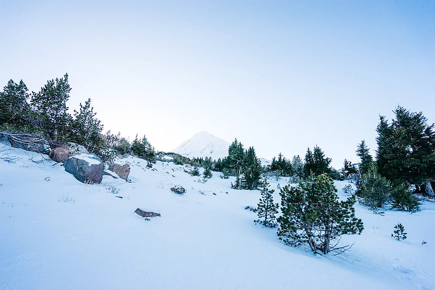 Snowy Mountain Landscape with Pine Trees and Distant Peak