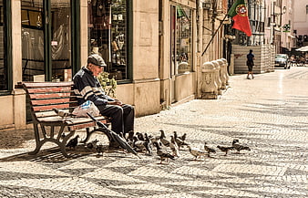 Elderly man sitting on a bench feeding pigeons on a Portuguese street