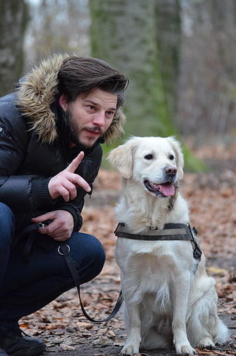 Man Training Golden Retriever in Autumn Forest
