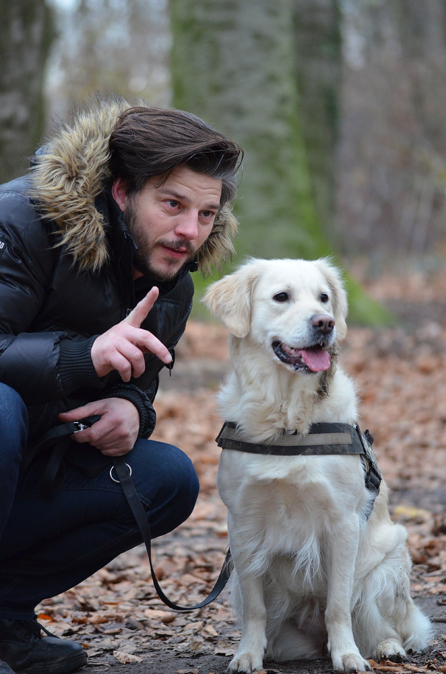 Man Training Golden Retriever in Autumn Forest