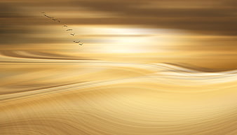 Abstract Golden Sand Dunes With Flying Birds And Motion Blur