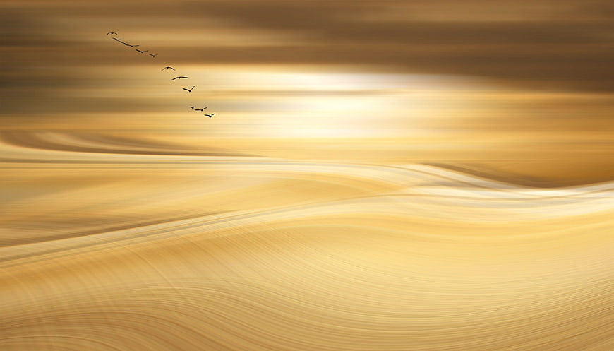 Abstract Golden Sand Dunes With Flying Birds And Motion Blur