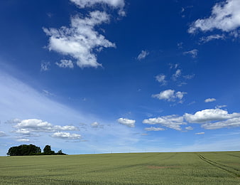 Vast Green Field Under Blue Sky with White Clouds