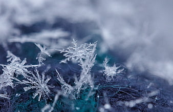 Macro Close-Up of Intricate Ice Crystals on Blue Fabric