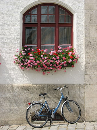 Blue Bicycle Parked Under Flower Box Window