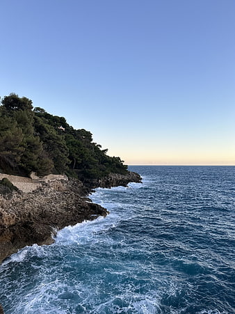 Scenic Mediterranean Coastline with Pine Trees and Blue Ocean