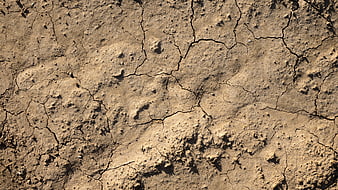 Close-up texture of dry cracked earth and soil