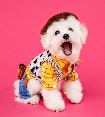 Cute white dog in Woody costume on pink background