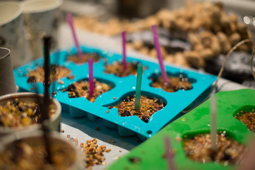 Colorful silicone molds filled with bird seed mixtures