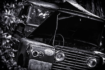 Abandoned vintage jeep with open hood in dense jungle foliage