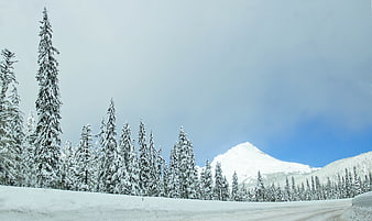 Snowy Winter Road with Pine Trees and Mountain