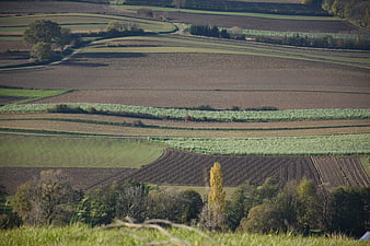 Rolling agricultural landscape with patchwork fields in autumn