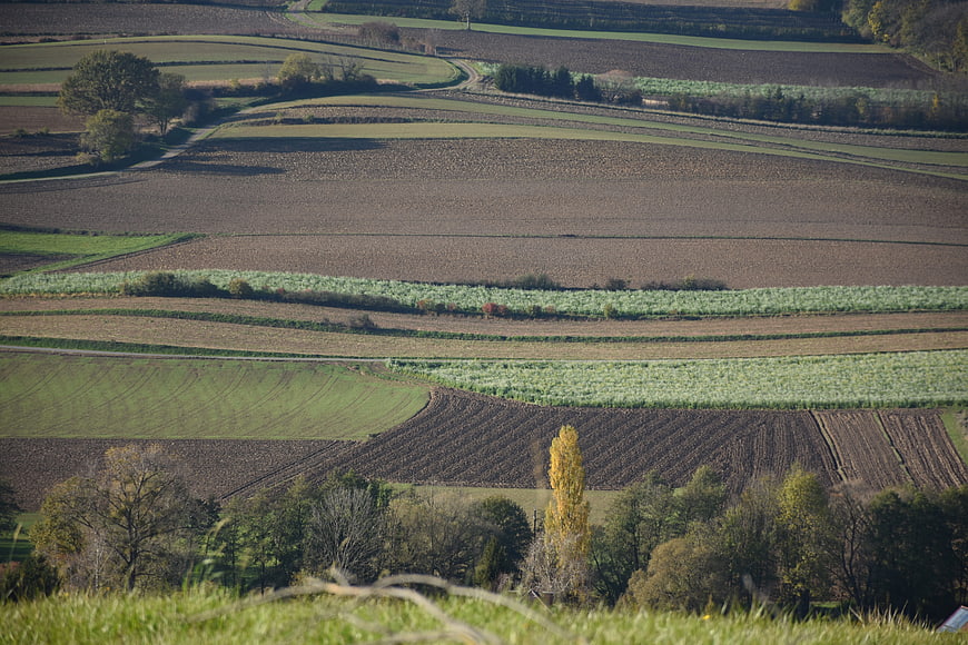 Rolling agricultural landscape with patchwork fields in autumn