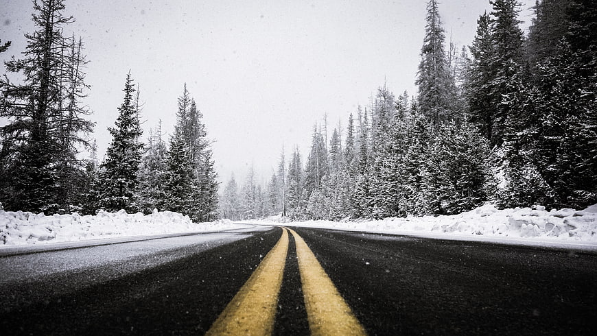 Snowy Winter Road Through Pine Forest