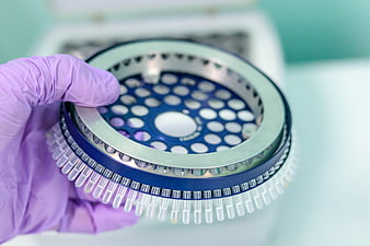 Gloved Hand Holding PCR Microplate in Laboratory